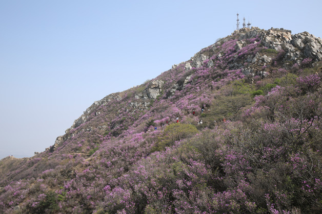 j9真人(中国集团)游戏第一品牌