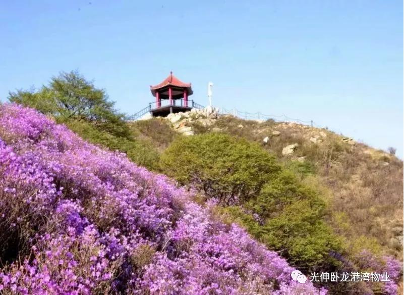 j9真人(中国集团)游戏第一品牌