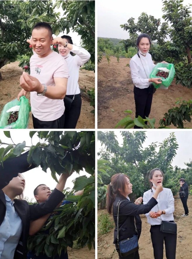 j9真人(中国集团)游戏第一品牌