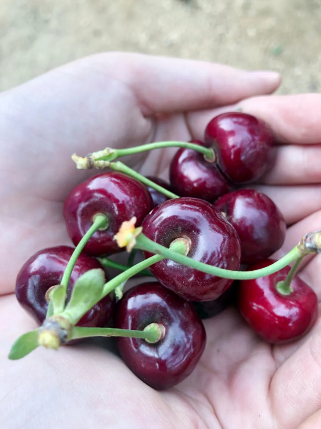 j9真人(中国集团)游戏第一品牌